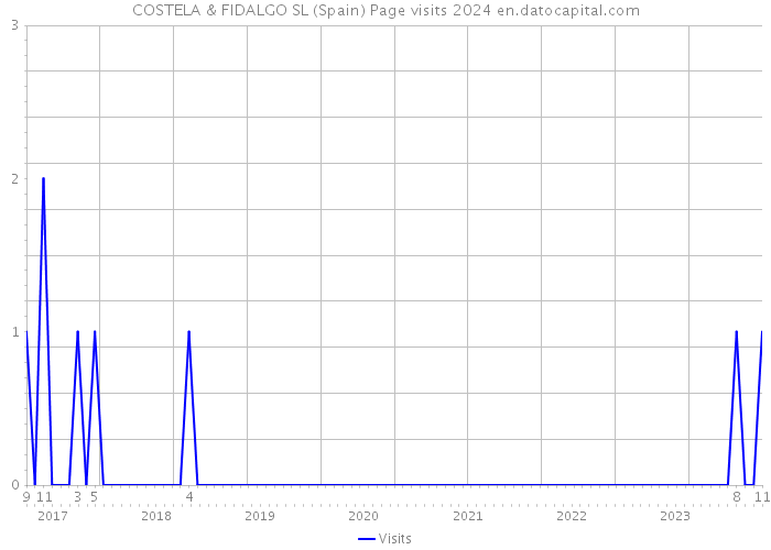 COSTELA & FIDALGO SL (Spain) Page visits 2024 