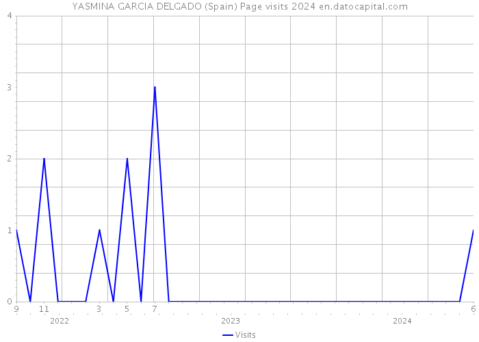 YASMINA GARCIA DELGADO (Spain) Page visits 2024 