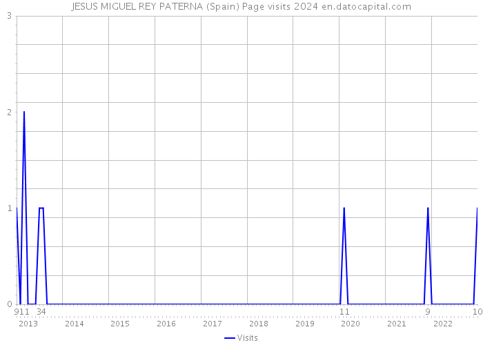 JESUS MIGUEL REY PATERNA (Spain) Page visits 2024 