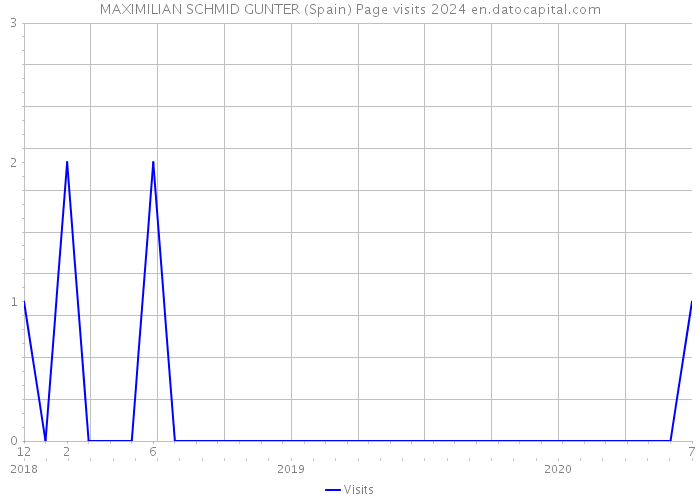 MAXIMILIAN SCHMID GUNTER (Spain) Page visits 2024 