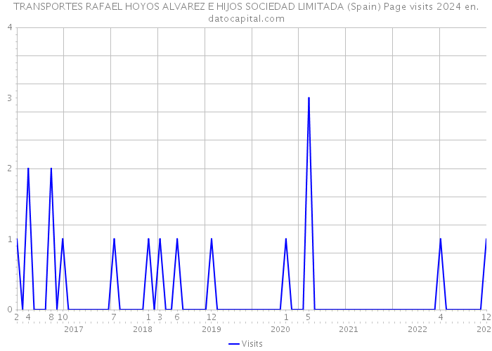 TRANSPORTES RAFAEL HOYOS ALVAREZ E HIJOS SOCIEDAD LIMITADA (Spain) Page visits 2024 