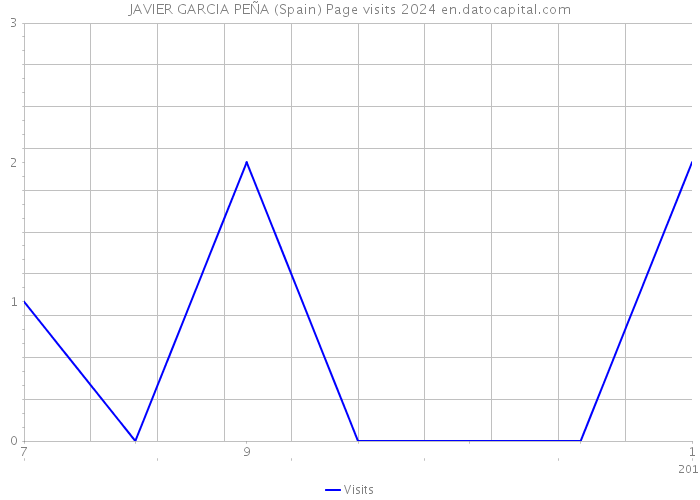 JAVIER GARCIA PEÑA (Spain) Page visits 2024 