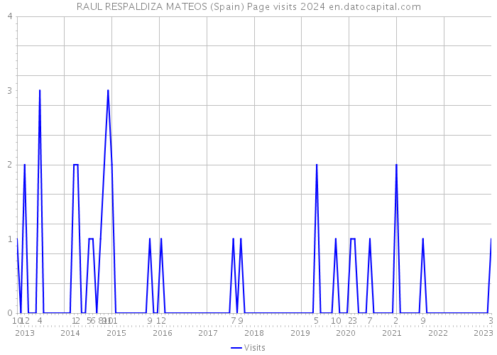 RAUL RESPALDIZA MATEOS (Spain) Page visits 2024 