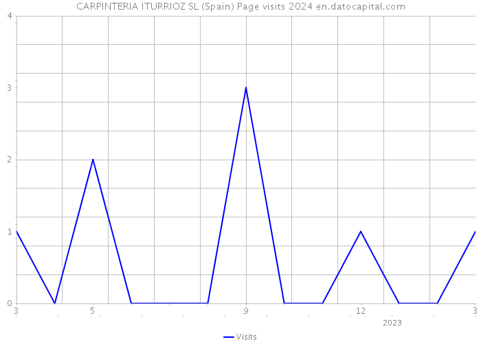 CARPINTERIA ITURRIOZ SL (Spain) Page visits 2024 