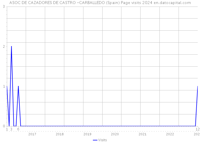 ASOC DE CAZADORES DE CASTRO -CARBALLEDO (Spain) Page visits 2024 