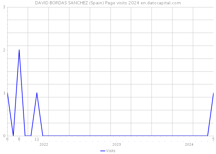 DAVID BORDAS SANCHEZ (Spain) Page visits 2024 