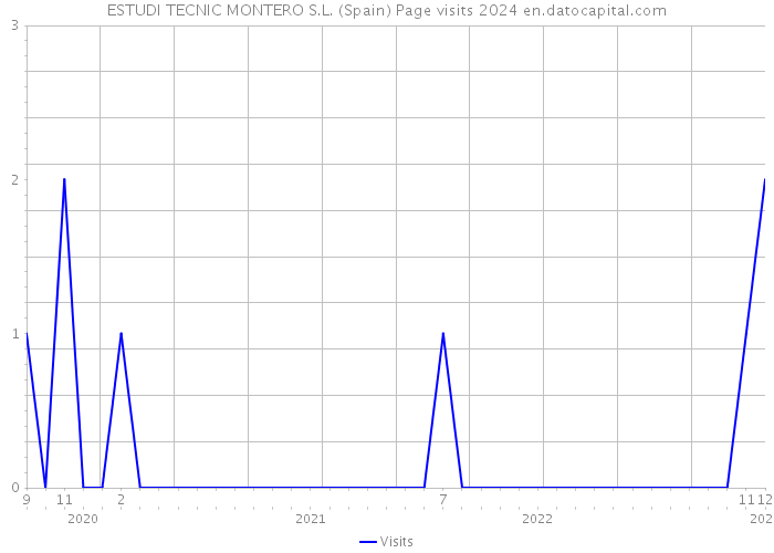 ESTUDI TECNIC MONTERO S.L. (Spain) Page visits 2024 