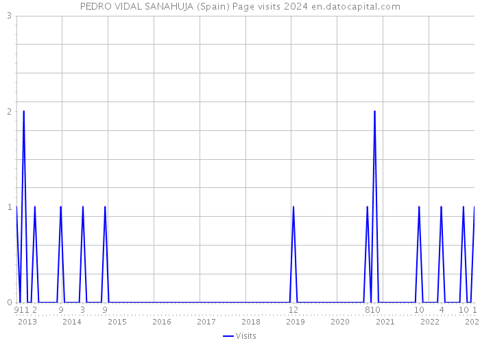 PEDRO VIDAL SANAHUJA (Spain) Page visits 2024 