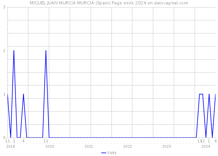 MIGUEL JUAN MURCIA MURCIA (Spain) Page visits 2024 