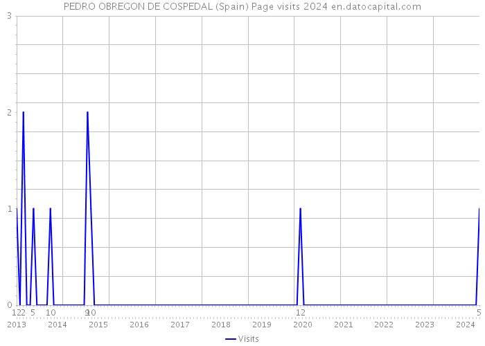 PEDRO OBREGON DE COSPEDAL (Spain) Page visits 2024 