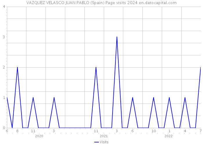 VAZQUEZ VELASCO JUAN PABLO (Spain) Page visits 2024 