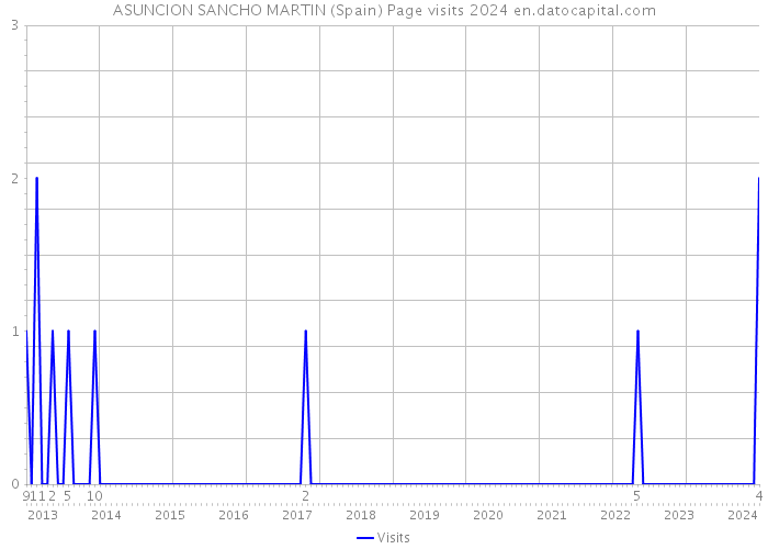 ASUNCION SANCHO MARTIN (Spain) Page visits 2024 