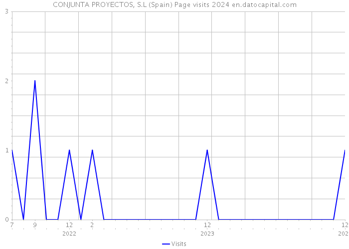 CONJUNTA PROYECTOS, S.L (Spain) Page visits 2024 