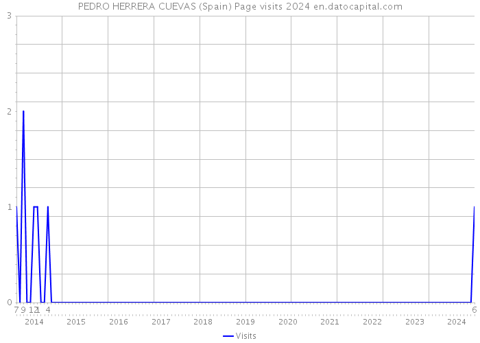 PEDRO HERRERA CUEVAS (Spain) Page visits 2024 