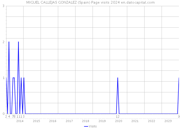 MIGUEL CALLEJAS GONZALEZ (Spain) Page visits 2024 