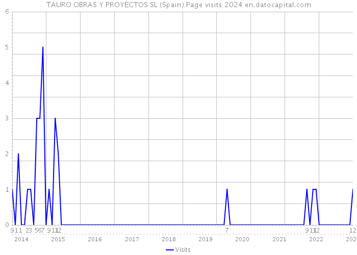 TAURO OBRAS Y PROYECTOS SL (Spain) Page visits 2024 