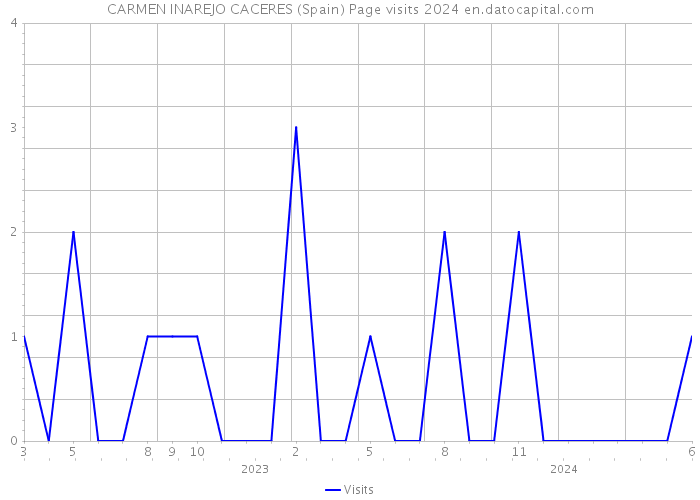 CARMEN INAREJO CACERES (Spain) Page visits 2024 