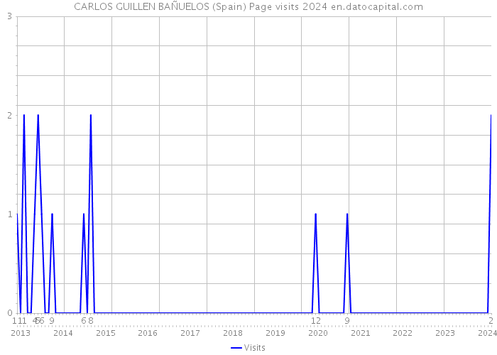 CARLOS GUILLEN BAÑUELOS (Spain) Page visits 2024 