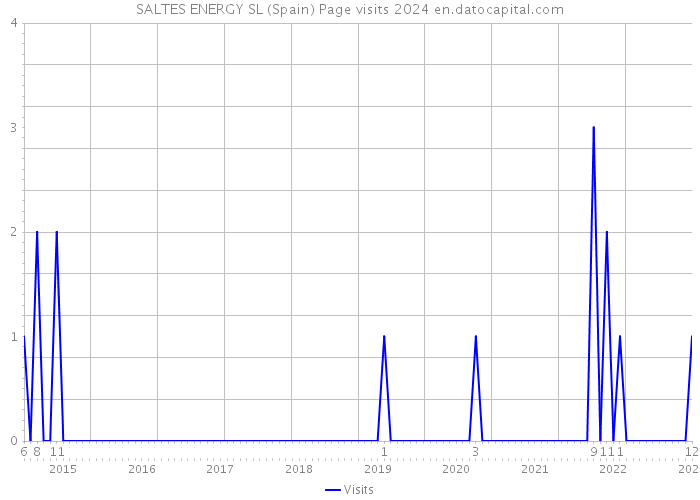 SALTES ENERGY SL (Spain) Page visits 2024 
