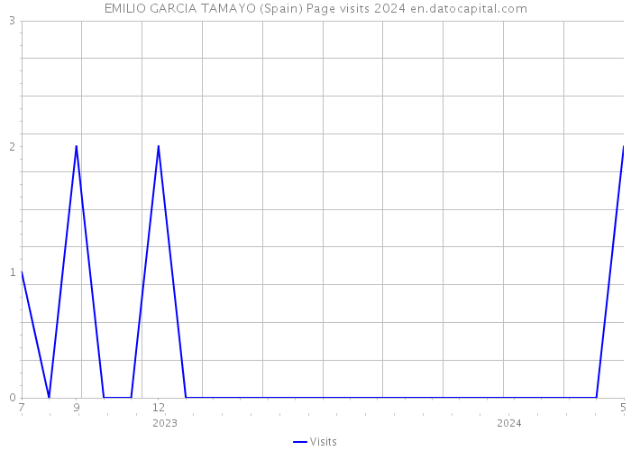 EMILIO GARCIA TAMAYO (Spain) Page visits 2024 