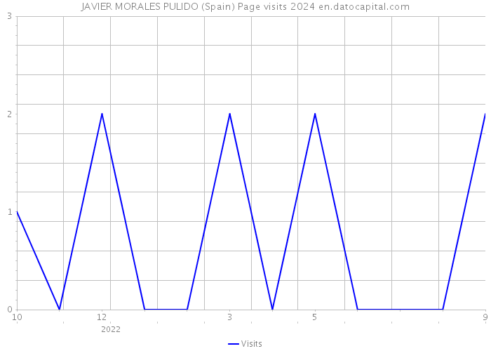 JAVIER MORALES PULIDO (Spain) Page visits 2024 