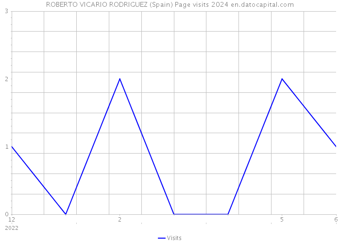 ROBERTO VICARIO RODRIGUEZ (Spain) Page visits 2024 