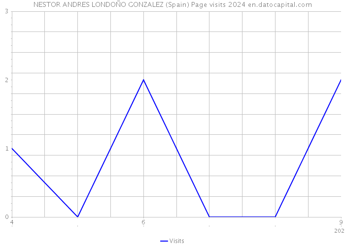 NESTOR ANDRES LONDOÑO GONZALEZ (Spain) Page visits 2024 