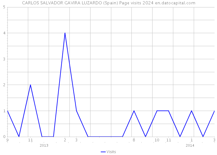CARLOS SALVADOR GAVIRA LUZARDO (Spain) Page visits 2024 