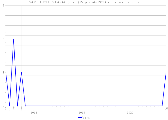 SAMEH BOULES FARAG (Spain) Page visits 2024 