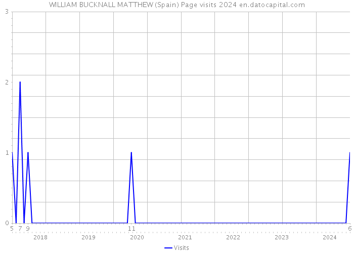 WILLIAM BUCKNALL MATTHEW (Spain) Page visits 2024 