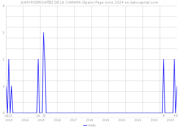 JUAN RODRIGAÑEZ DE LA CAMARA (Spain) Page visits 2024 