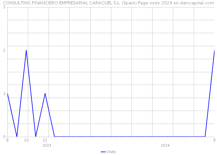 CONSULTING FINANCIERO EMPRESARIAL CARACUEL S.L. (Spain) Page visits 2024 