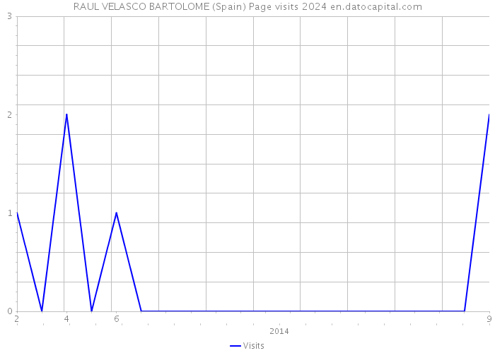 RAUL VELASCO BARTOLOME (Spain) Page visits 2024 