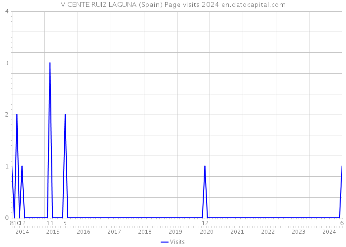 VICENTE RUIZ LAGUNA (Spain) Page visits 2024 
