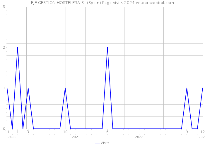FJE GESTION HOSTELERA SL (Spain) Page visits 2024 