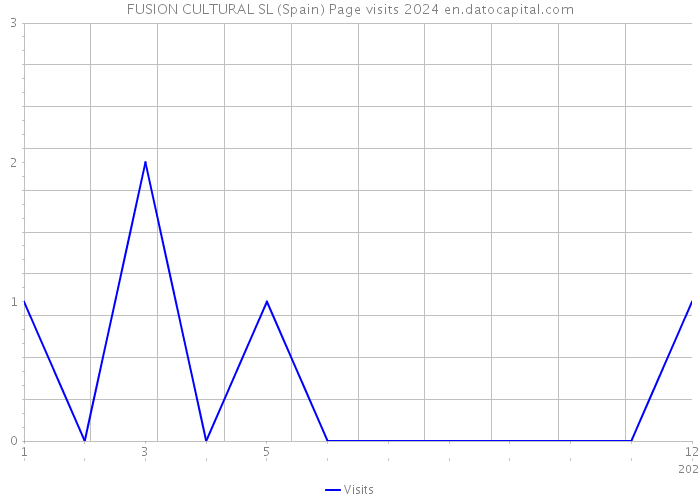 FUSION CULTURAL SL (Spain) Page visits 2024 