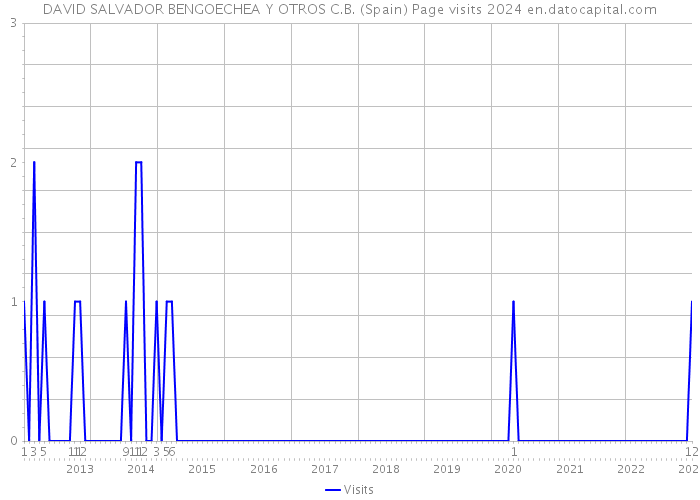 DAVID SALVADOR BENGOECHEA Y OTROS C.B. (Spain) Page visits 2024 