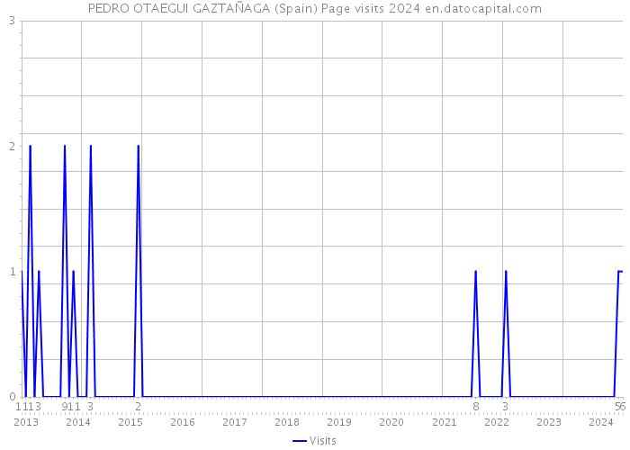 PEDRO OTAEGUI GAZTAÑAGA (Spain) Page visits 2024 