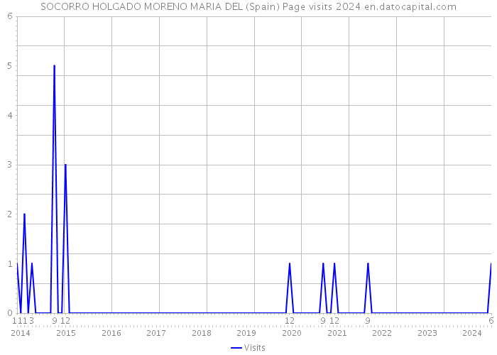 SOCORRO HOLGADO MORENO MARIA DEL (Spain) Page visits 2024 