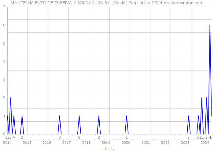 MANTENIMIENTO DE TUBERIA Y SOLDADURA S.L. (Spain) Page visits 2024 