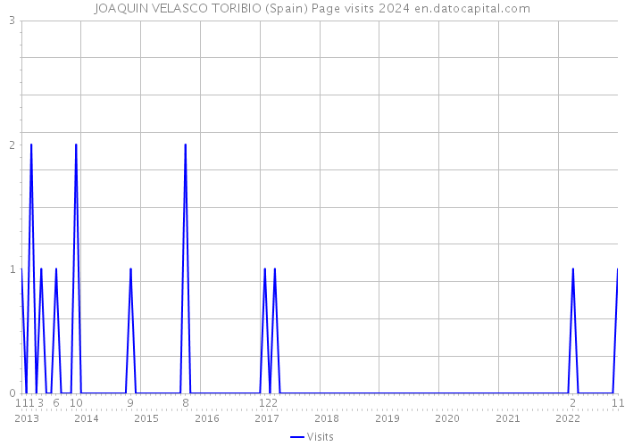 JOAQUIN VELASCO TORIBIO (Spain) Page visits 2024 