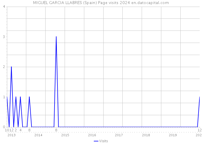 MIGUEL GARCIA LLABRES (Spain) Page visits 2024 