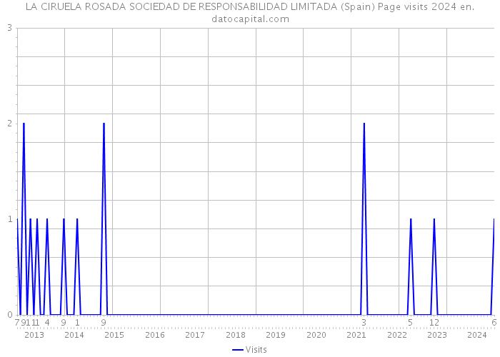 LA CIRUELA ROSADA SOCIEDAD DE RESPONSABILIDAD LIMITADA (Spain) Page visits 2024 