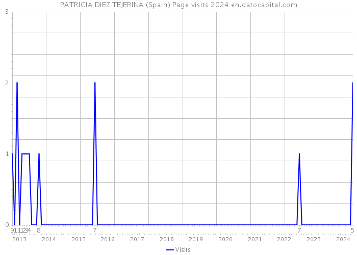 PATRICIA DIEZ TEJERINA (Spain) Page visits 2024 