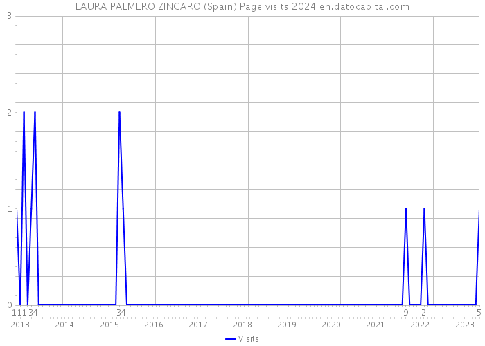 LAURA PALMERO ZINGARO (Spain) Page visits 2024 