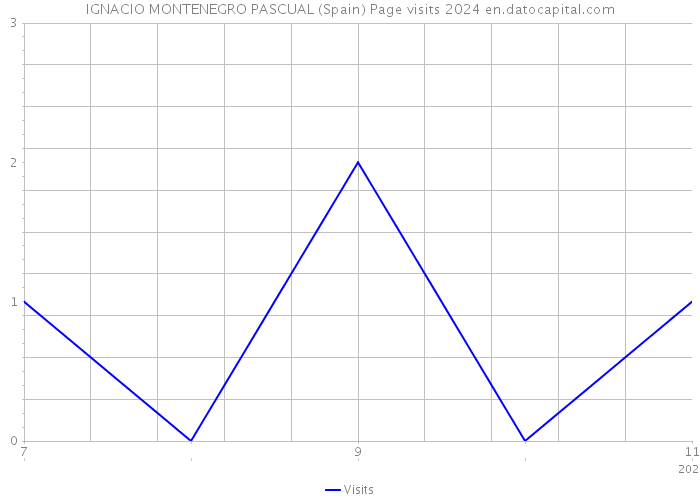 IGNACIO MONTENEGRO PASCUAL (Spain) Page visits 2024 