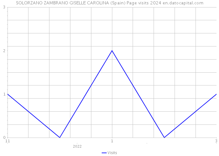 SOLORZANO ZAMBRANO GISELLE CAROLINA (Spain) Page visits 2024 