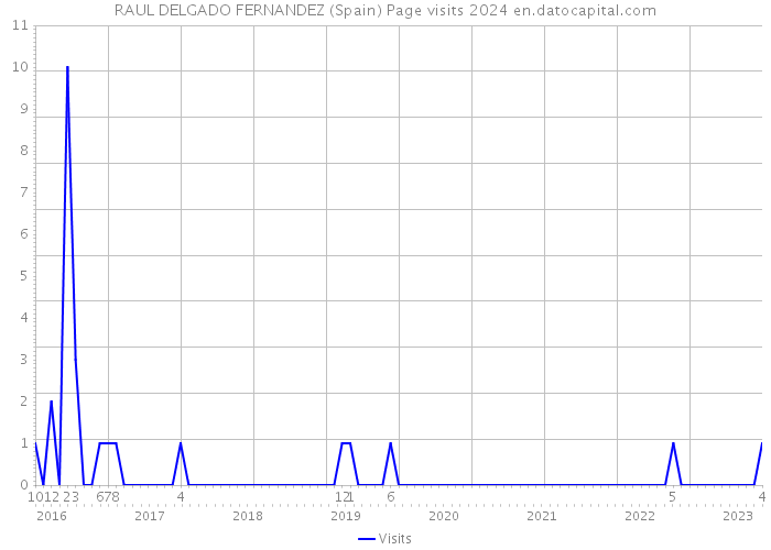 RAUL DELGADO FERNANDEZ (Spain) Page visits 2024 