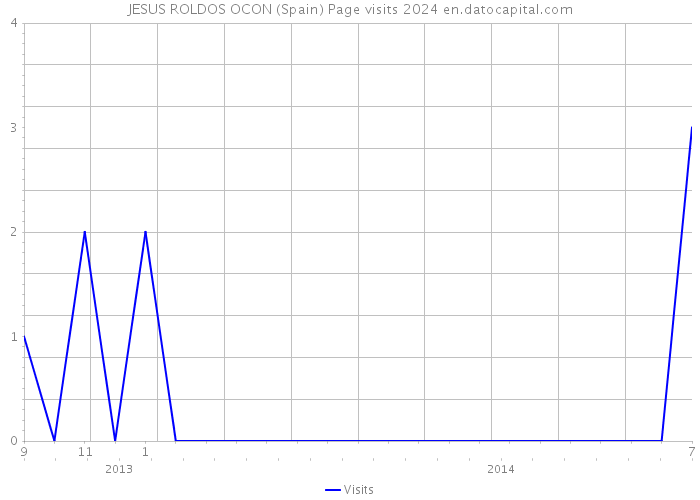 JESUS ROLDOS OCON (Spain) Page visits 2024 