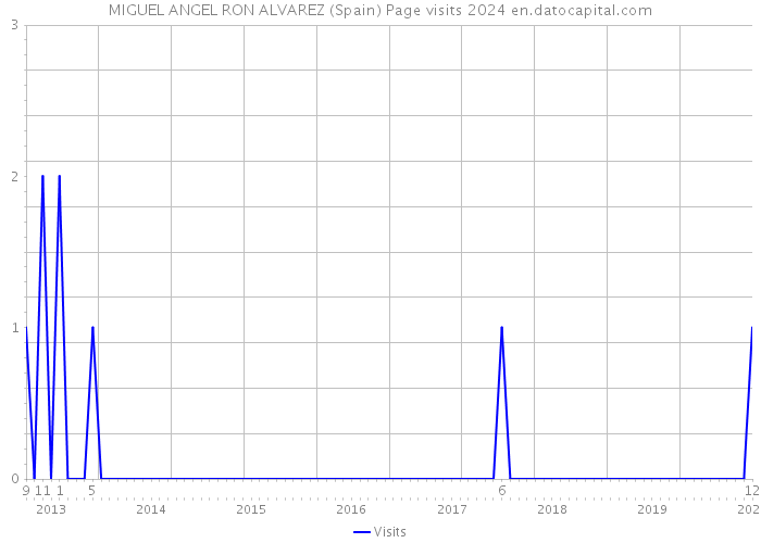 MIGUEL ANGEL RON ALVAREZ (Spain) Page visits 2024 